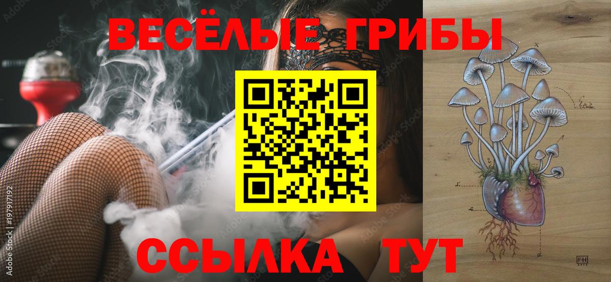 Псилоцибиновые грибы Magic Shrooms  наркота  Псилоцибиновые грибы Psilocybine cubensis  Киров  Вход с VPN 